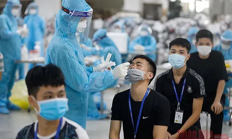 Sẵn sàng ứng phó khi tình hình dịch bệnh Covid-19 tiếp tục có diễn tiến theo chiều hướng xấu