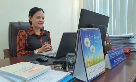 Bến Tre: Tập huấn phương pháp đánh giá xếp hạng sản phẩm OCOP du lịch