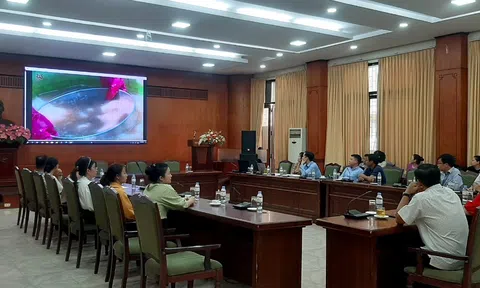 Tọa đàm về phương pháp xử lý, bảo quản hiện vật khảo cổ học giữa Bảo tàng Lịch sử quốc gia và Bảo tàng Đắk Lắk