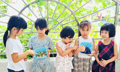 Phát huy tiềm năng, trí tuệ và nâng cao địa vị của nữ giới trong các lĩnh vực của đời sống xã hội và gia đình
