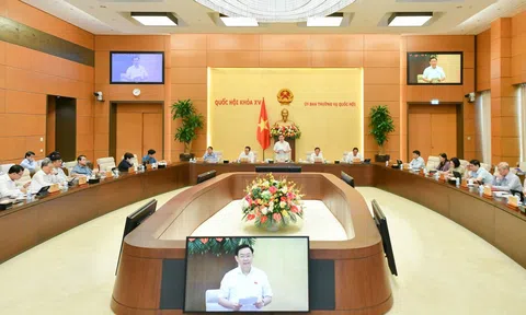 Nghiên cứu, rà soát, bổ sung vào dự thảo Luật phòng, chống bạo lực gia đình (sửa đổi) các loại hành vi bạo lực gia đình, tránh bỏ sót hành vi vi phạm