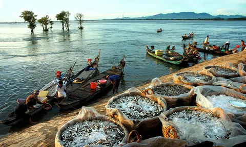 Dài theo đất nước: Nổi trôi... sông nước miền Tây
