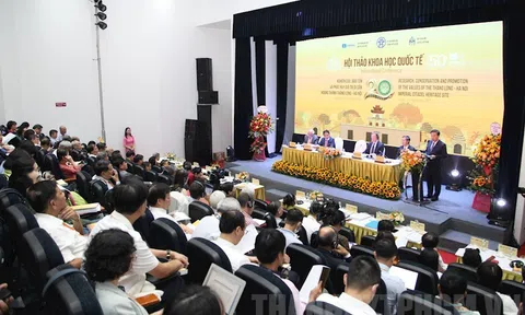 Hoàng thành Thăng Long minh chứng cho 13 thế kỷ giao thoa văn hóa của Việt Nam và các nước