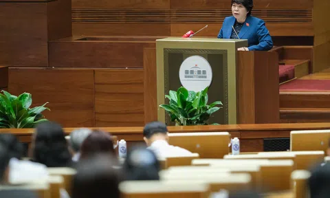 Dự thảo Luật Phòng, chống bạo lực gia đình (sửa đổi) trình tại Hội nghị ĐB Quốc hội chuyên trách có những điểm mới nào?