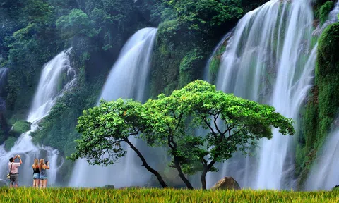 Việt Nam ưu tiên phát triển các loại hình du lịch theo hướng tăng trưởng xanh