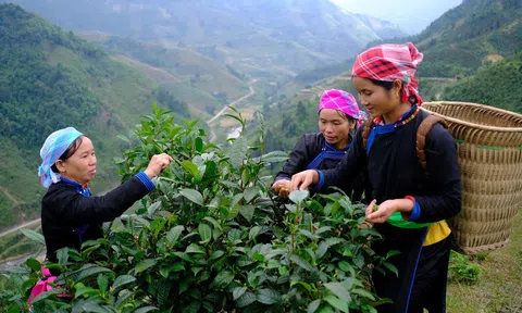 Nâng cao đời sống văn hóa tinh thần, bài trừ hủ tục lạc hậu ở vùng đồng bào các dân tộc thiểu số