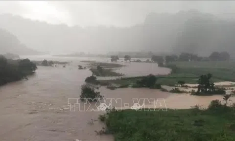 Khắc phục hậu quả bão Noru, nhanh chóng hỗ trợ nhân dân ổn định đời sống