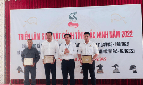 Nghệ thuật kiến tạo không gian sống mang đậm phong cách Nhật về Việt Nam