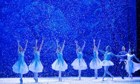 Cục Nghệ thuật biểu diễn xây dựng kế hoạch thực hiện Chương trình Chuyển đổi số năm 2023