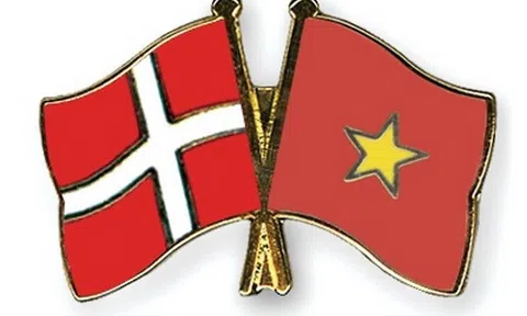 Tổ chức Chương trình biểu diễn nghệ thuật kỷ niệm 50 năm quan hệ ngoại giao Việt Nam - Đan Mạch