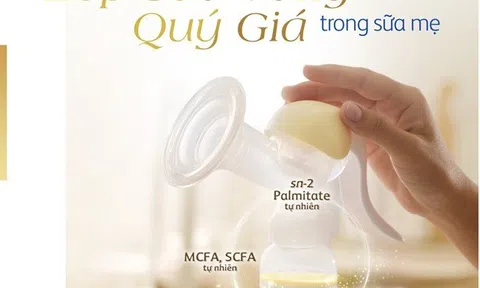 Friso Prestig: "Lớp sữa vàng tăng cường miễn dịch” - Công thức đột phá mới khiến các mẹ bỉm háo hức