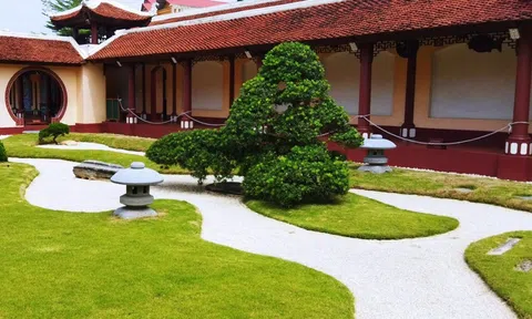 Cùng Vườn Nhật Thanh Tùng Cát Tường tìm hiểu về giá trị cốt lõi của cây Tùng La Hán