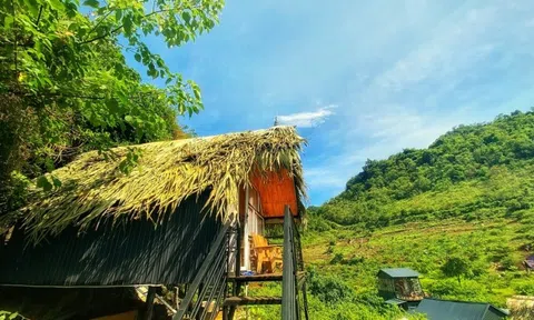 Giới thiệu 2 bài thơ của tác giả Phan Khắc Ấn thân tặng người thiếu nữ nơi miền sơn cước