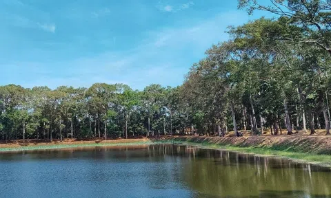 Trà Vinh: Công nhận điểm du lịch Khu di tích danh lam thắng cảnh quốc gia Ao Bà Om