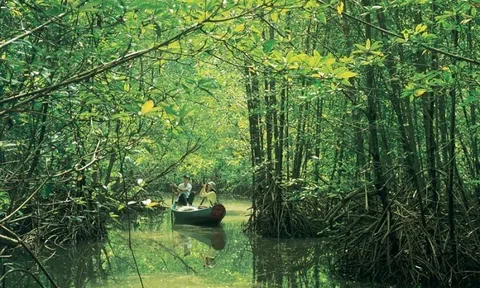 Triển lãm "Tuần Văn hóa Du lịch Di sản xanh - Nơi gặp gỡ con người và thiên nhiên"