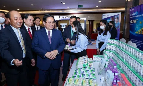 Vinamilk tăng đầu tư cho các dự án phát triển ngành sữa tại Campuchia