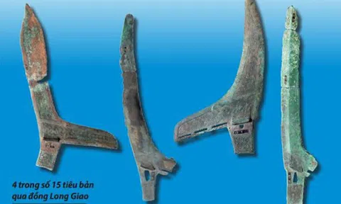 Đồng Nai báo cáo công tác bảo vệ, bảo quản và phát huy giá trị bảo vật quốc gia năm 2022