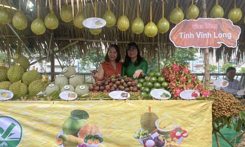 Vĩnh Long: Hướng đi mới liên kết các hợp tác xã tham gia phát triển du lịch cộng đồng