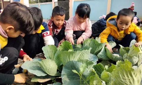 Huyện Cẩm Khê (Phú Thọ) truy xuất nguồn gốc thực phẩm cung ứng cho các trường mầm non