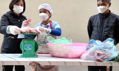 Phú Thọ: An toàn vệ sinh thực phẩm bữa ăn bán trú các cơ sở giáo dục mầm non TP Việt Trì