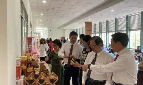 Kiên Giang: “Nghề làm nước mắm Phú Quốc” đón nhận Bằng di sản văn hóa phi vật thể quốc gia