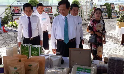 Kiên Giang: Liên kết, phát huy tiềm năng lợi thế phát triển du lịch, đặc biệt là phát triển du lịch biển, đảo