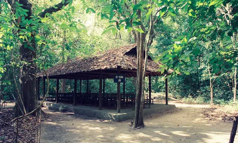 Lịch sử đã chứng minh quyết định thành lập Căn cứ Trung ương Cục miền Nam là một chủ trương cực kỳ đúng đắn, sáng suốt của Đảng