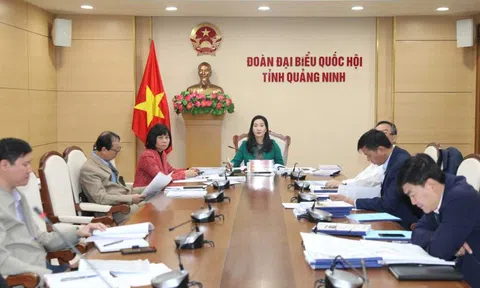 Ban quản lý dự án đầu tư xây dựng huyện Nghi Lộc: Chúc mừng năm mới 2023