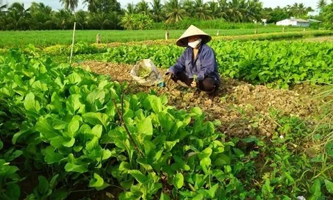 Tiền Giang: Kết hợp các chính sách an sinh xã hội trong thực hiện mục tiêu giảm nghèo bền vững