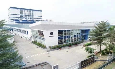 Vinamilk là Công ty đầu tiên và duy nhất của Châu Á sở hữu Giải thưởng Purity Award cho sữa bột trẻ em