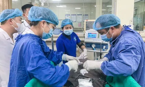 Cán bộ y, bác sĩ Trung tâm y tế huyện Yên Lập (Phú Thọ) xứng danh "Lương y như từ mẫu"