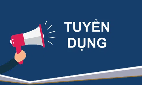 Trung tâm truyền thông Phương Nam Plus tuyển dụng kế toán nội bộ