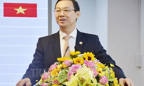 Lễ hội Việt Nam - Nhật Bản lần thứ 8 tại TPHCM diễn ra từ ngày 23 đến 26/2/2023