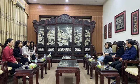 Bảo tàng Lịch sử Quốc gia tiếp đón và làm việc với đại diện Hội đồng Anh tại Việt Nam