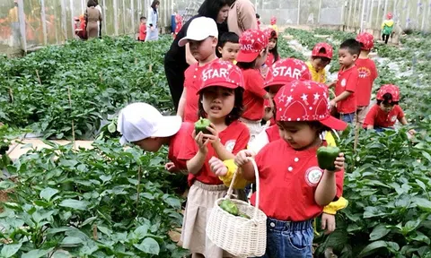 Trường Mầm non Bắc Cường (Lào Cai): Nâng cao chất lượng nuôi dưỡng, chăm sóc, giáo dục trẻ để phát triển toàn diện
