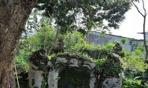 “Giải mã bí ẩn nữ sĩ Hồ Xuân Hương" phương pháp khảo cứu lạ, làm nên sức hút văn chương