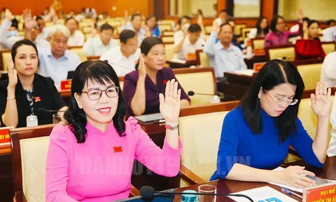 HĐND TPHCM khoá X: Thông qua các nghị quyết đầu tư thực hiện về các dự án di tích lịch sử