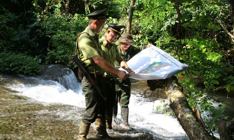 Huyện Na Hang (Tuyên Quang): Xử lý nghiêm minh các đối tượng chặt phá rừng trái phép