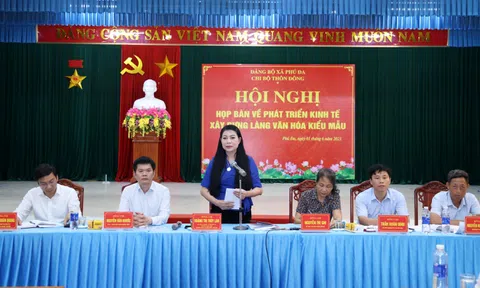 Vĩnh Phúc: Triển khai thí điểm xây dựng “Làng văn hóa kiểu mẫu” thôn Đông (Phú Đa - Vĩnh Tường)