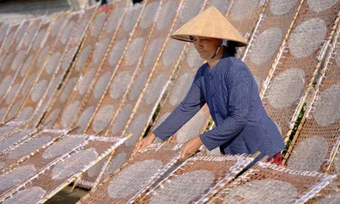 Cần Thơ: Công bố Di sản văn hóa phi vật thể quốc gia nghề làm bánh tráng Thuận Hưng