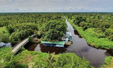 Cà Mau: Thực hiện Đề án du lịch sinh thái, nghỉ dưỡng, giải trí Vườn Quốc gia U Minh Hạ đến năm 2030