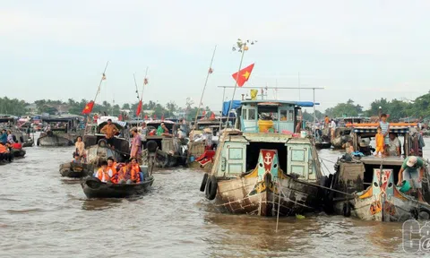 Cần Thơ: Thành lập Ban Quản lý nhà nước về công tác bảo tồn và phát huy giá trị di sản văn hóa Chợ nổi Cái Răng