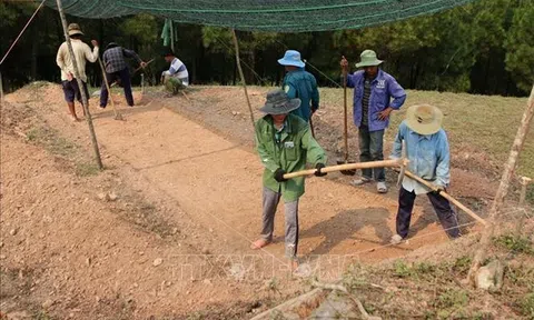 Sớm xây dựng hồ sơ đề nghị công nhận núi Bân là Di tích quốc gia đặc biệt