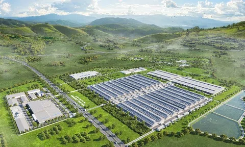 Giải pháp chất lượng lợi nhuận qua phân tích các chỉ số tài chính của Vinamilk