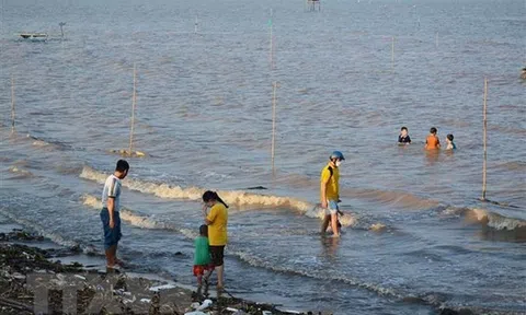 Tiền Giang khai thác và phát triển mô hình du lịch nông nghiệp