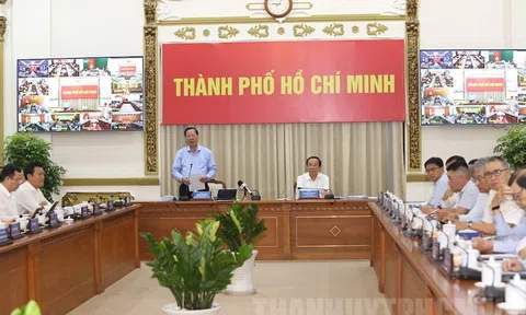 TPHCM tập trung thúc đẩy các động lực tăng trưởng, triển khai Nghị quyết 98 của Quốc hội để tháo gỡ khó khăn