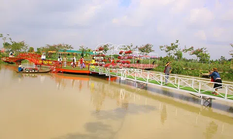 Đồng Tháp: Phát triển làng hoa kiểng kết hợp du lịch cộng đồng