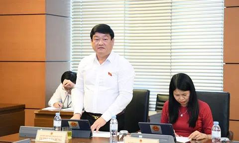 Cần quy định rõ ràng về định danh bất động sản du lịch và các loại hình sản phẩm bất động sản du lịch