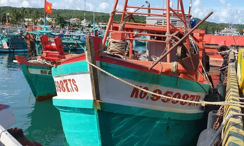 Bộ Tư lệnh Vùng Cảnh sát biển 4: Bắt giữ tàu vận chuyển dầu do trái phép