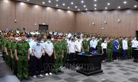 Vụ án “chuyến bay giải cứu”: Những bài học về đạo đức và giá trị trong xã hội